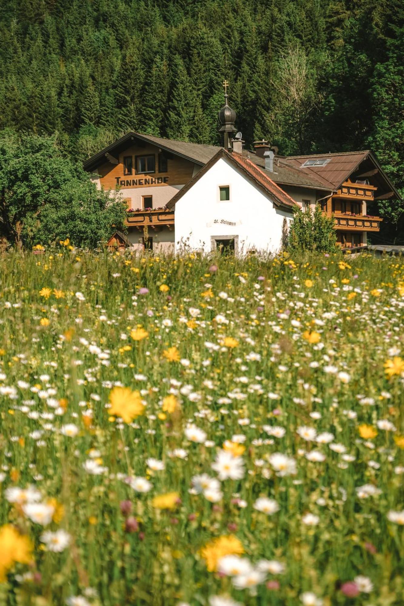 Der Tannenhof Hotell Reutte Exteriör bild