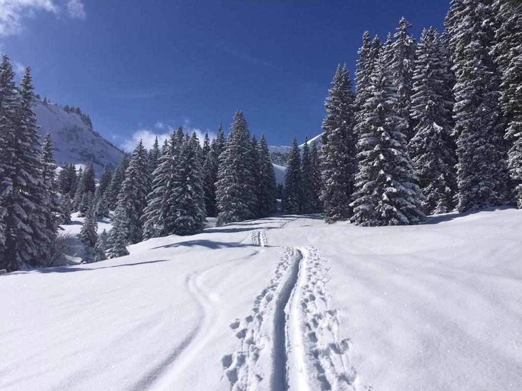 Der Tannenhof Hotell Reutte Exteriör bild